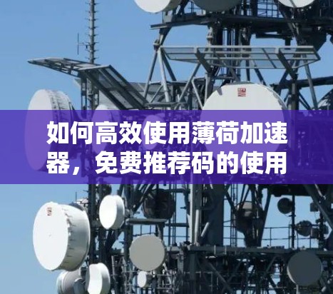 如何高效使用薄荷加速器,免费推荐码的使用指南