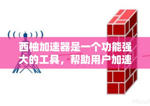 西柚加速器是一个功能强大的工具,帮助用户加速下载速度。以下是关于三个版本的详细分析