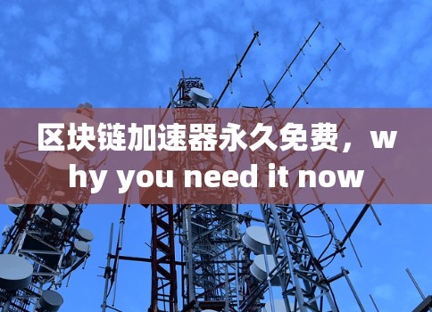 区块链加速器永久免费,why you need it now