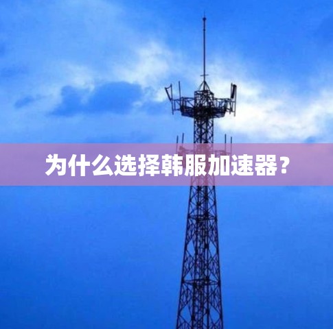 为什么选择韩服加速器?