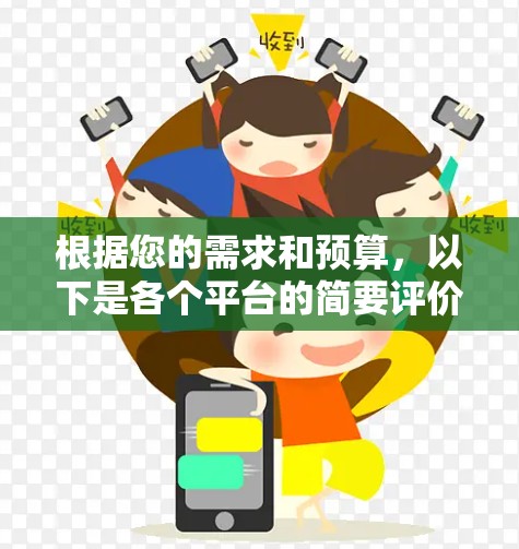 根据您的需求和预算,以下是各个平台的简要评价