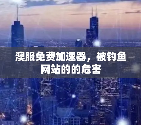 澳服免费加速器,被钓鱼网站的的危害