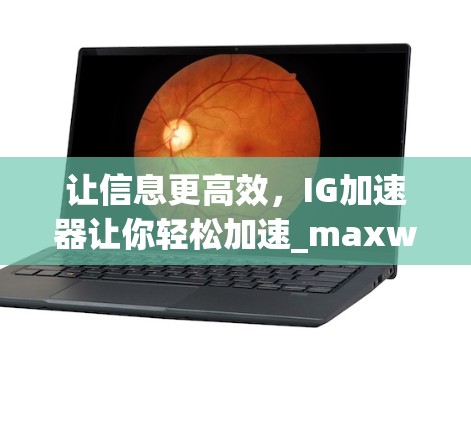 让信息更高效，IG加速器让你轻松加速_maxwell