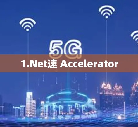 1.Net速 Accelerator