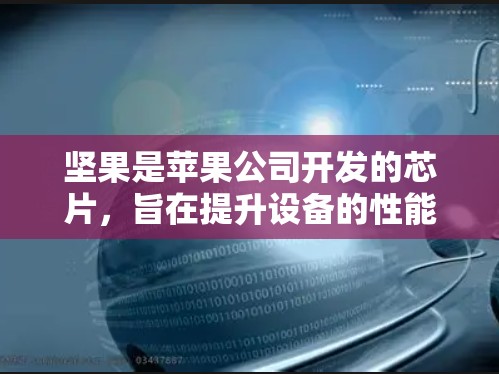 坚果是苹果公司开发的芯片，旨在提升设备的性能和续航能力。对于坚果的免费版本，苹果公司确实提供了一个免费的版本，但这个版本有一个限制，只能使用一段时间，之后需要购买后续的付费版