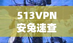 513VPN安兔速查，优化下载 Android 应用
