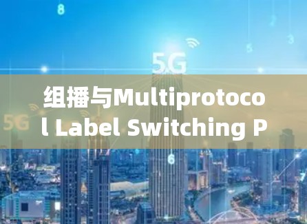 组播与Multiprotocol Label Switching Protocol（MPLS）VPN技术培训