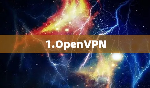 1.OpenVPN 1.OpenVPN