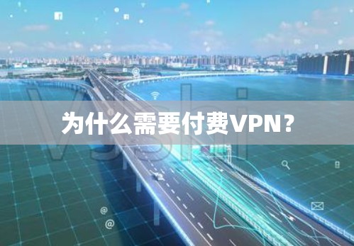 为什么需要付费VPN? 为什么需要付费VPN?