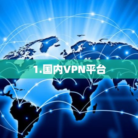 1.国内VPN平台 1.国内VPN平台