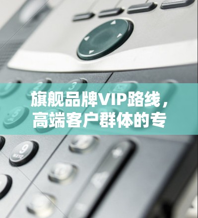 旗舰品牌VIP路线，高端客户群体的专属权益