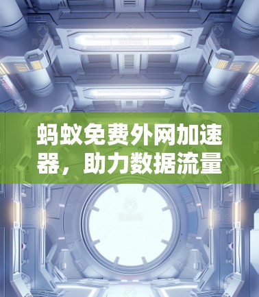 蚂蚁免费外网加速器,助力数据流量高效管理 蚂蚁免费外网加速器,助力数据流量高效管理