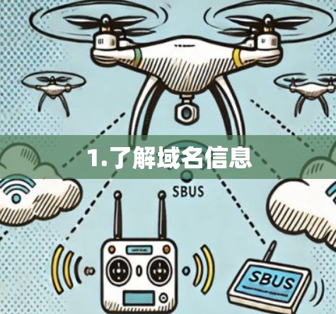 1.了解域名信息 1.了解域名信息