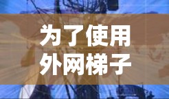 为了使用外网梯子解决问题,您可以按照以下步骤进行调整和尝试 为了使用外网梯子解决问题,您可以按照以下步骤进行调整和尝试