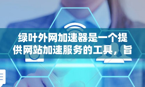绿叶外网加速器是一个提供网站加速服务的工具，旨在提升用户访问速度和满意度。以下是对该工具的详细分析