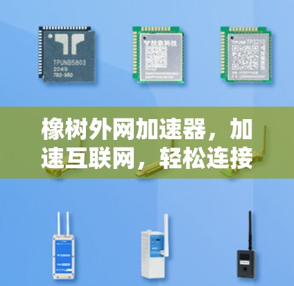 橡树外网加速器，加速互联网，轻松连接，助力生活新范式