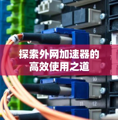 探索外网加速器的高效使用之道