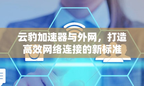 云豹加速器与外网,打造高效网络连接的新标准 云豹加速器与外网,打造高效网络连接的新标准