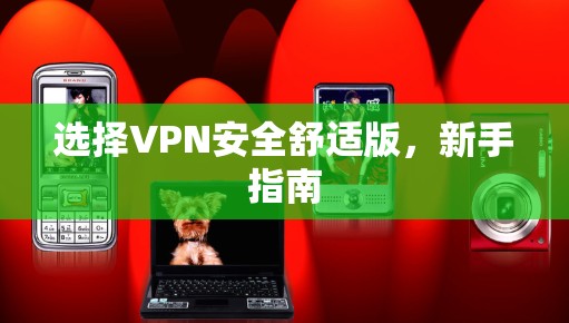 选择VPN安全舒适版,新手指南 选择VPN安全舒适版,新手指南