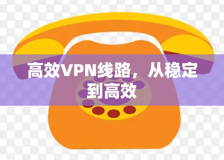高效VPN线路,从稳定到高效 高效VPN线路,从稳定到高效