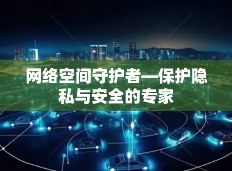 网络空间守护者—保护隐私与安全的专家 网络空间守护者—保护隐私与安全的专家