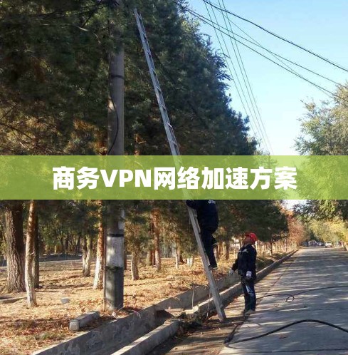商务VPN网络加速方案 商务VPN网络加速方案