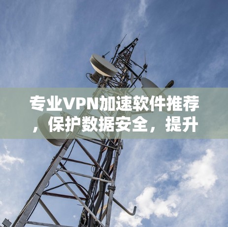 专业VPN加速软件推荐,保护数据安全,提升网络体验 专业VPN加速软件推荐,保护数据安全,提升网络体验