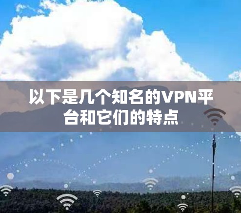 以下是几个知名的VPN平台和它们的特点