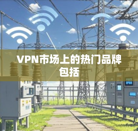 VPN市场上的热门品牌包括 VPN市场上的热门品牌包括