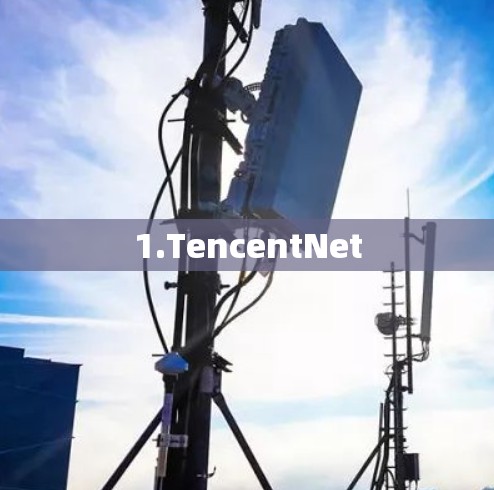 1.TencentNet