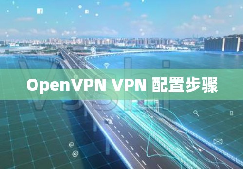 OpenVPN VPN 配置步骤 OpenVPN VPN 配置步骤