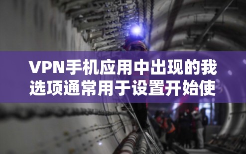 VPN手机应用中出现的我选项通常用于设置开始使用该应用时的某些参数，如带宽的上限。以下是逐步的解决方案