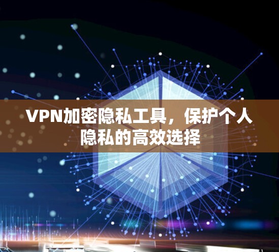 VPN加密隐私工具,保护个人隐私的高效选择 VPN加密隐私工具,保护个人隐私的高效选择