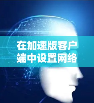在加速版客户端中设置网络优先级 在加速版客户端中设置网络优先级