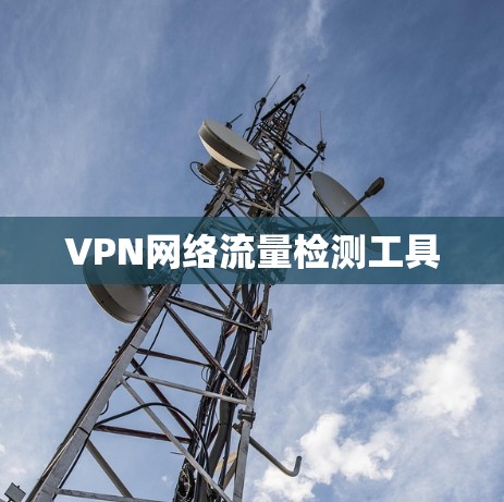 VPN网络流量检测工具