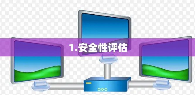1.安全性评估 1.安全性评估
