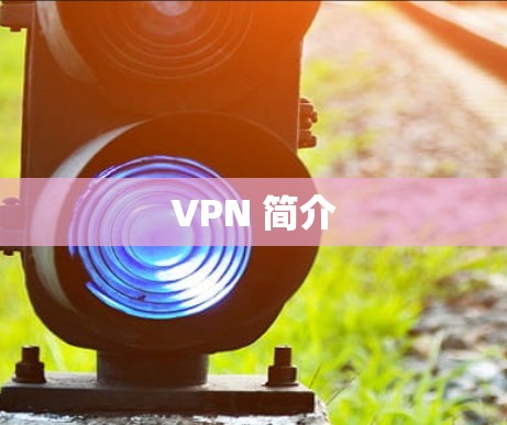 VPN 简介 VPN 简介