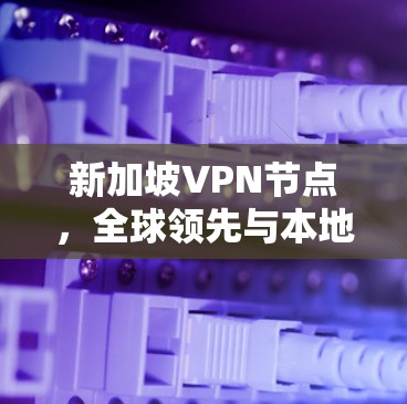 新加坡VPN节点,全球领先与本地化解决方案 新加坡VPN节点,全球领先与本地化解决方案