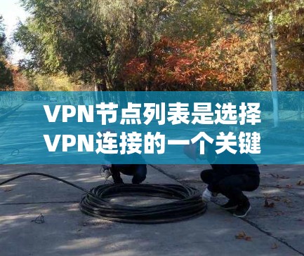 VPN节点列表是选择VPN连接的一个关键参考点。以下是一些常见的VPN节点列表和推荐，根据不同的需求和使用场景来选择
