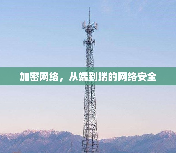 加密网络,从端到端的网络安全 加密网络,从端到端的网络安全