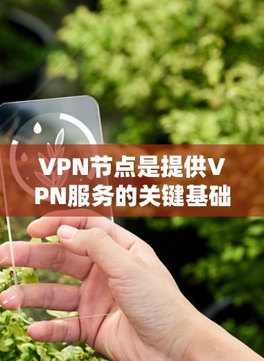 VPN节点是提供VPN服务的关键基础设施，主要包括以下几个部分