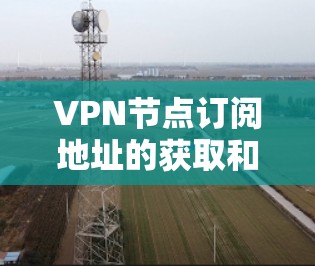 VPN节点订阅地址的获取和使用通常需要根据具体的VPN服务提供商和协议来确定。以下是一些常见的VPN订阅地址类型和相关要求,供参考 VPN节点订阅地址的获取和使用通常需要根据具体的VPN服务提供商和协议来确定。以下是一些常见的VPN订阅地址类型和相关要求,供参考