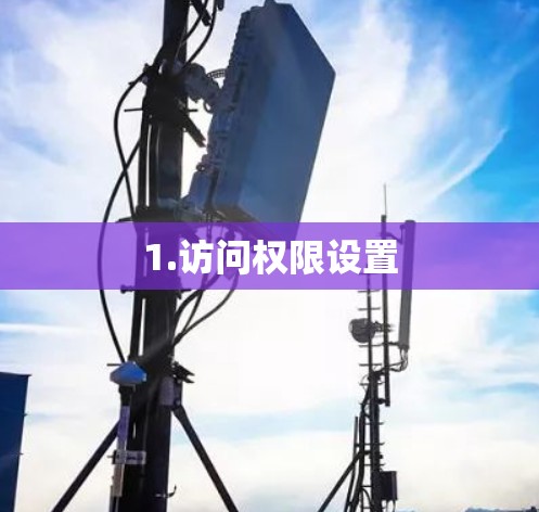 1.访问权限设置 1.访问权限设置