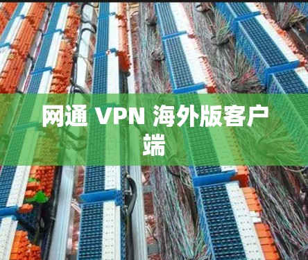 网通 VPN 海外版客户端 网通 VPN 海外版客户端