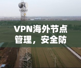 VPN海外节点管理，安全防护与网络管理之挑战与解决方案