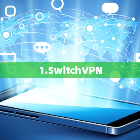 1.SwitchVPN 1.SwitchVPN
