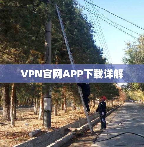 VPN官网APP下载详解 VPN官网APP下载详解