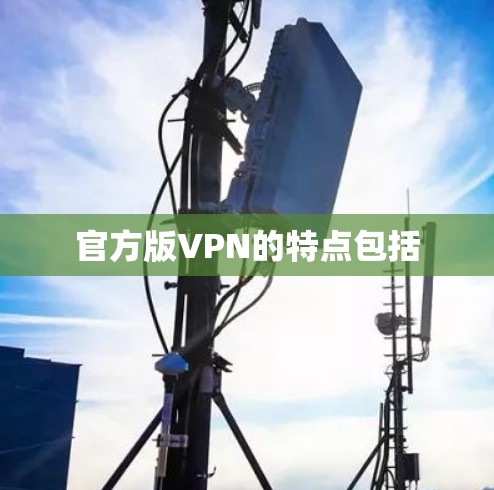 官方版VPN的特点包括 官方版VPN的特点包括