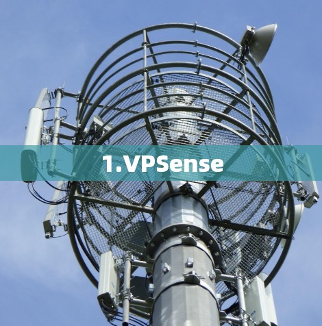 1.VPSense 1.VPSense