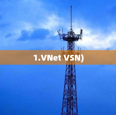 1.VNet VSN)